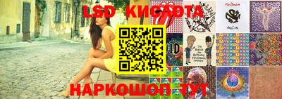 шишки Славгород